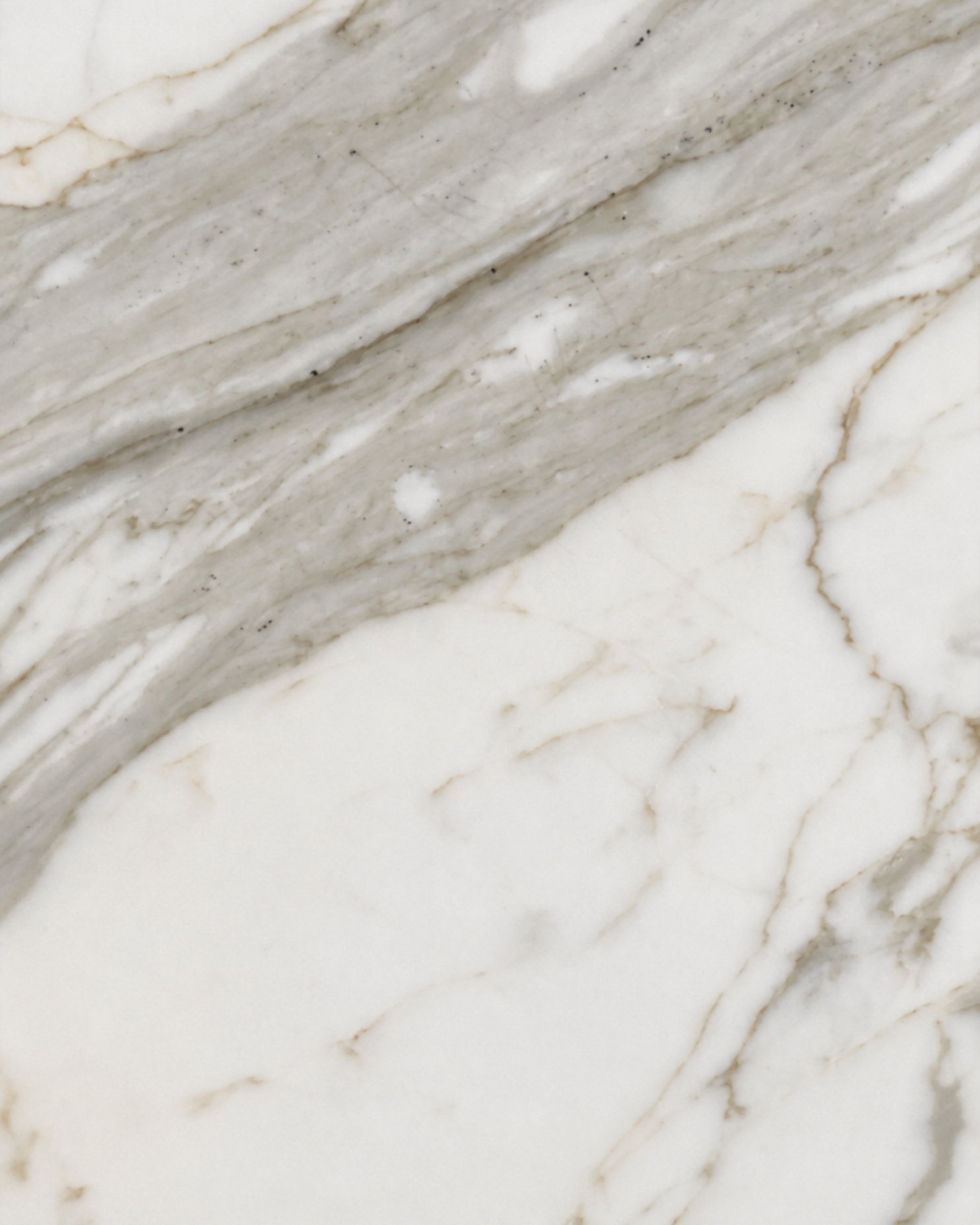 Calacatta Gold
