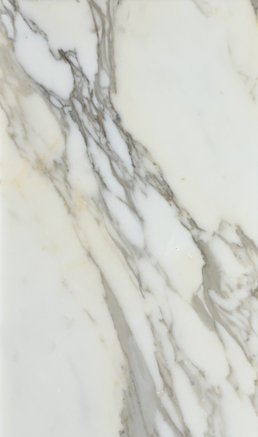 Calacatta Gold