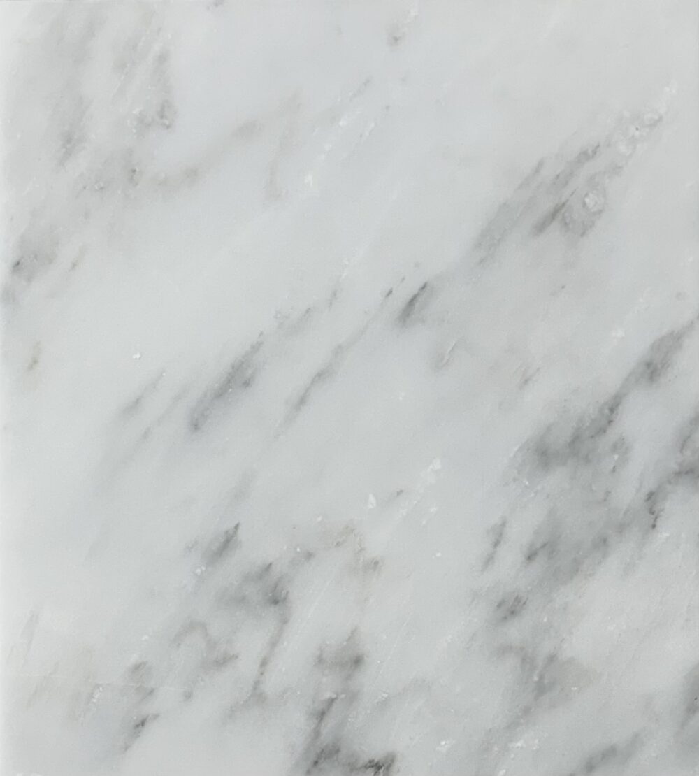 Dynasty White