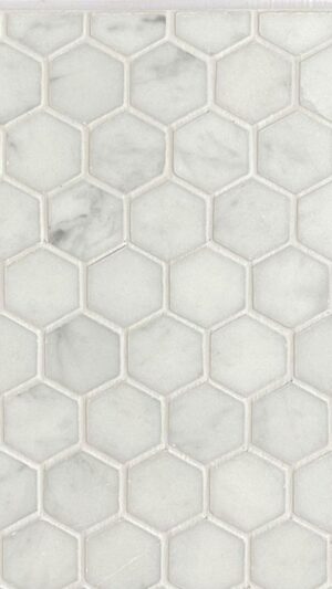 Hexagon 1" - Bianco Carrara Polished