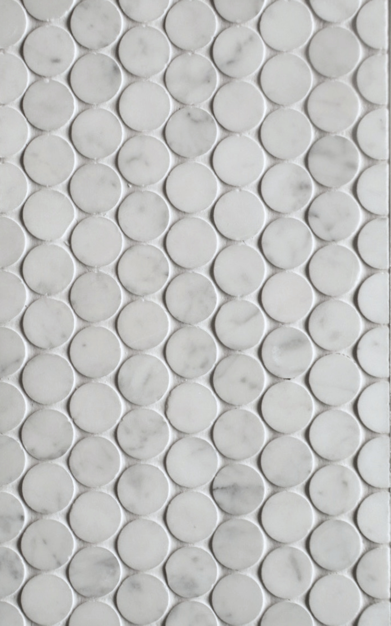 Bianco Carrara - Honed
