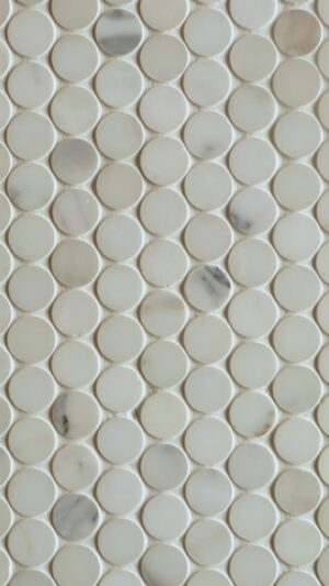 Penny Round - Calacatta Gold Honed