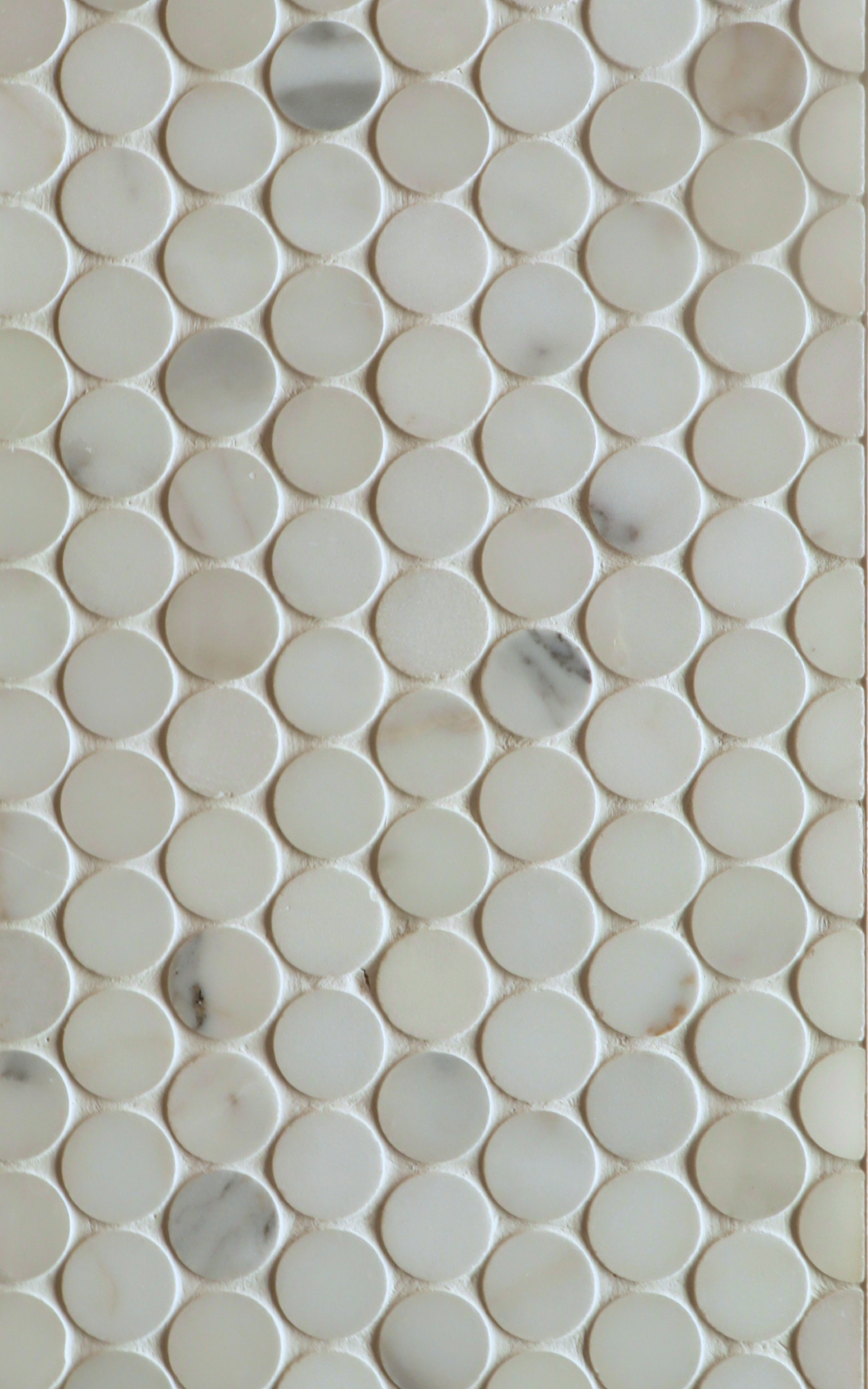Calacatta Gold - Honed