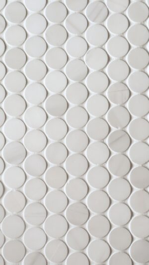 Penny Round - Dolomite Honed