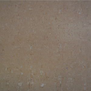 Saturnia Walnut