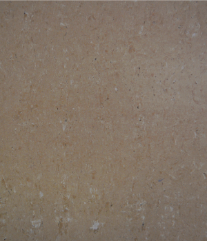 Saturnia Walnut