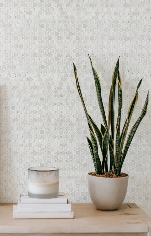 Ice White - Polished