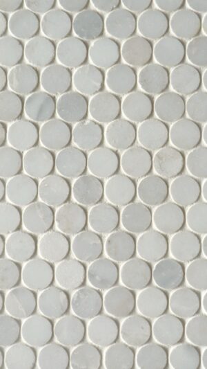 Penny Round - Ice White - Polished