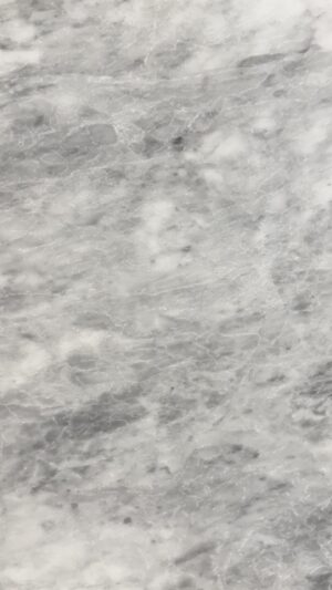 Silia Grey - Checkerboard