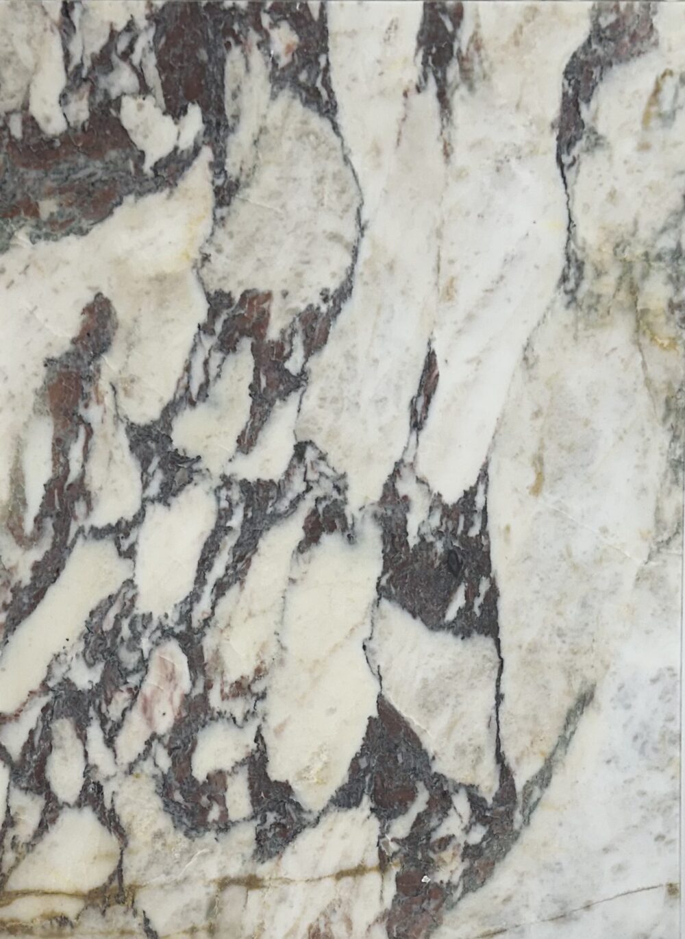 Calacatta Viola