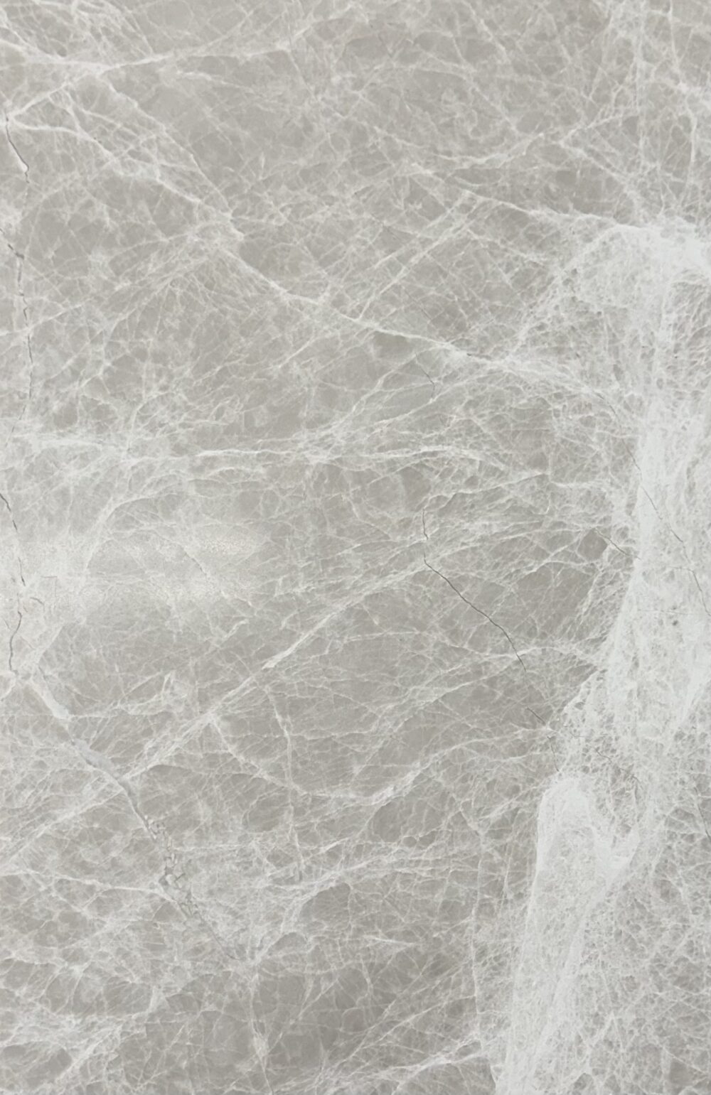 Spider Grey