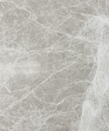 Spider Grey