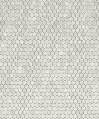 Tumbled 1" Hexagon - Nestos