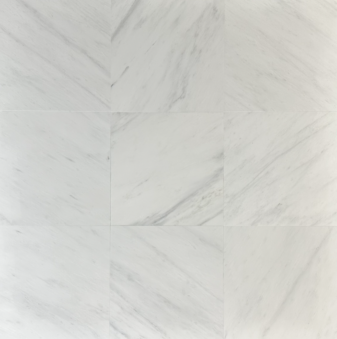 Dynasty White
