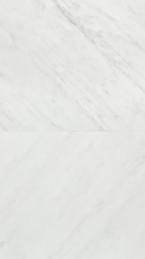 Large Format Tile - Dynasty White