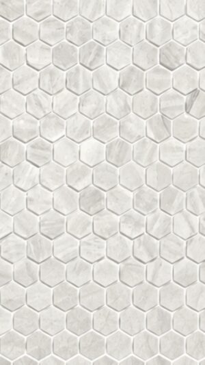 1" Hexagon - Nestos  - Tumbled