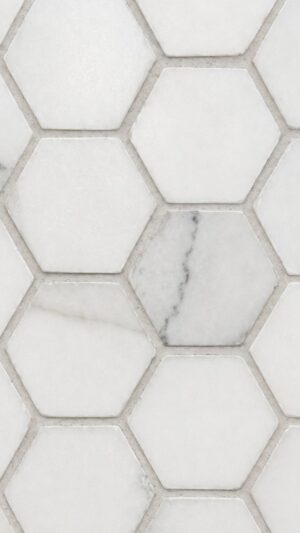 2" Hexagon - Calacatta Colorado - Honed